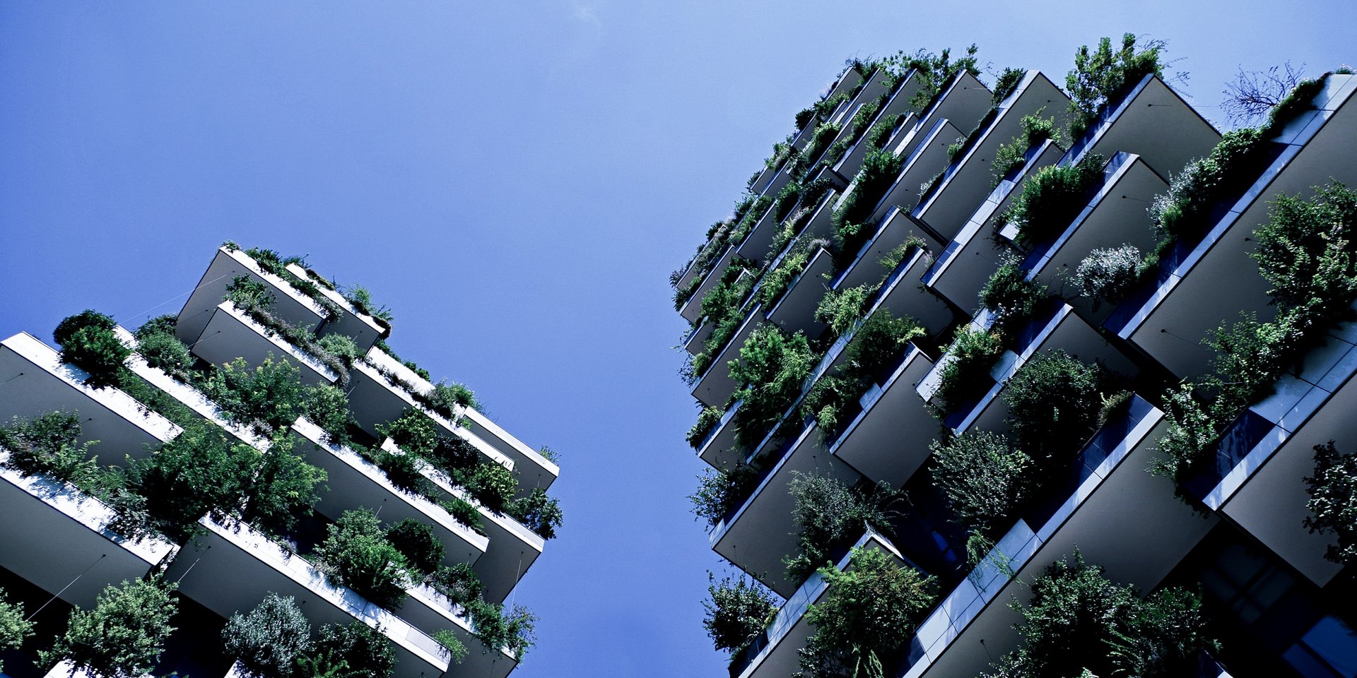 two-tall-buildings-with-lots-of-plants
