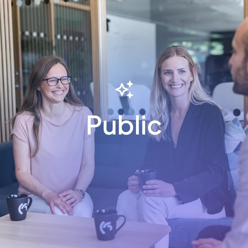 Ai-Public-4