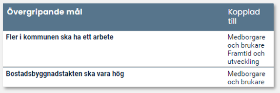 Samtliga kopplingar inom styrmodellen