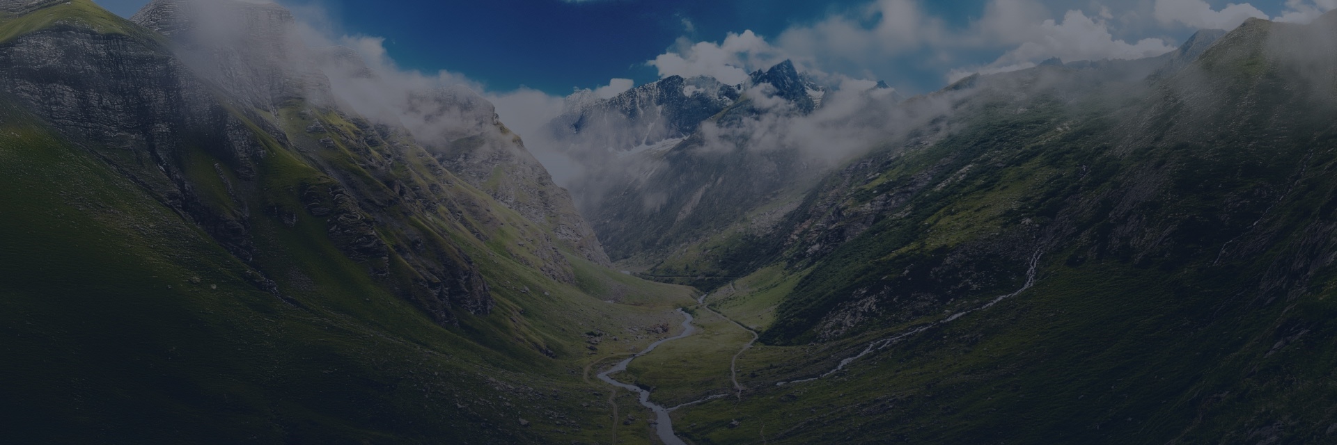 DDInsights-lp-CTA-1920x640_v2