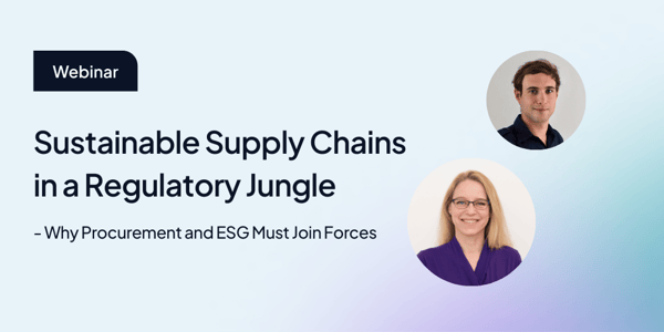 Sustainable Supply Chains in a Regulatory Jungle