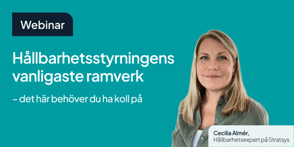 Hållbarhetsstyrningens vanligaste ramverk