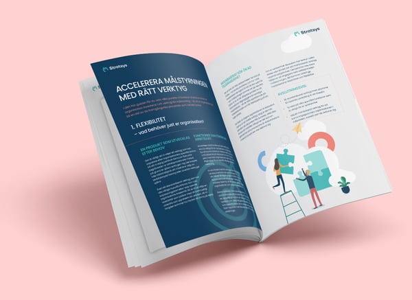 Hitta rätt system för ert informationssäkerhetsarbete