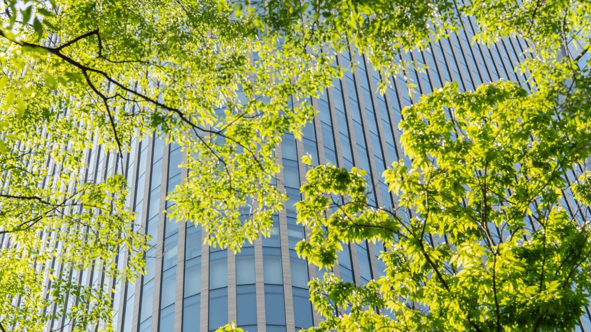 SBTi-Net-Zero-Standard-V2.0-building-tree-nature