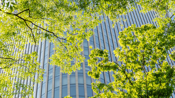 SBTi-Net-Zero-Standard-V2.0-building-tree-nature