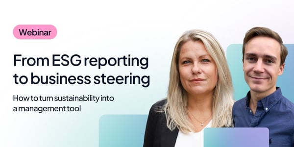 From ESG reporting to business steering