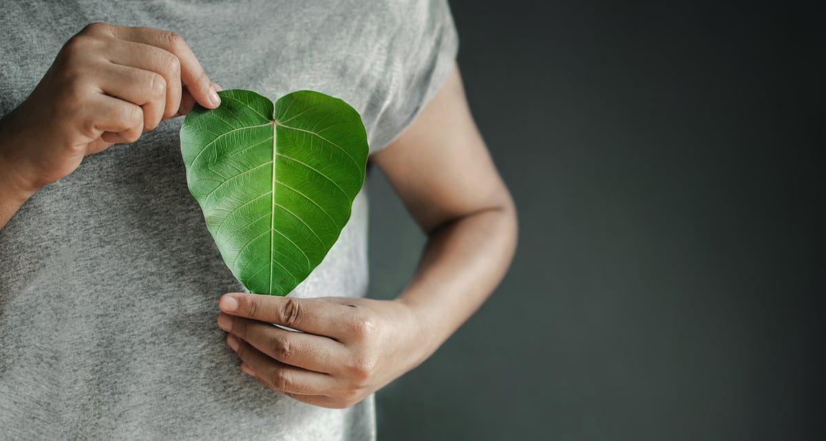 man-holding-leaf