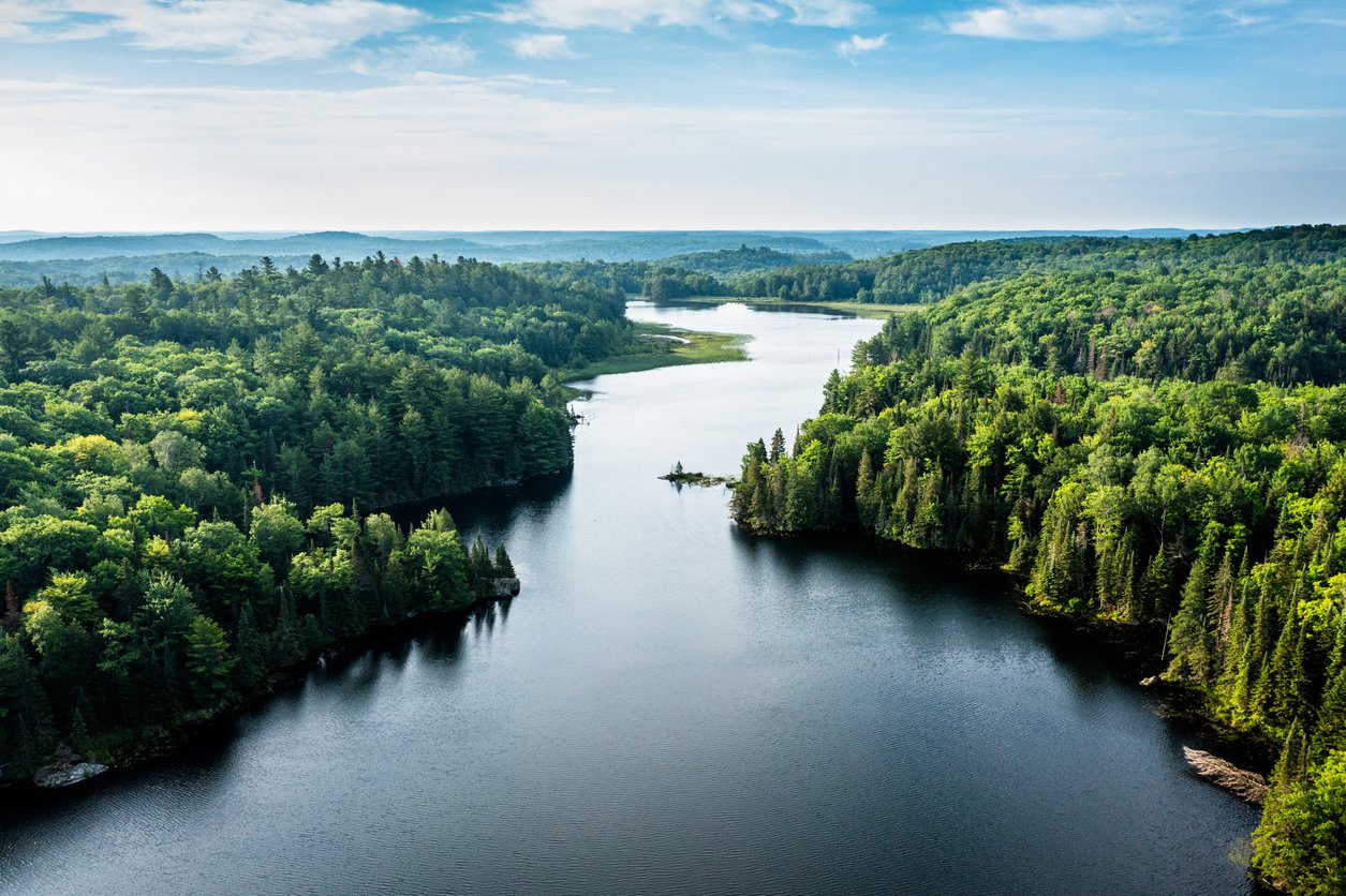 forest-and-a-lake