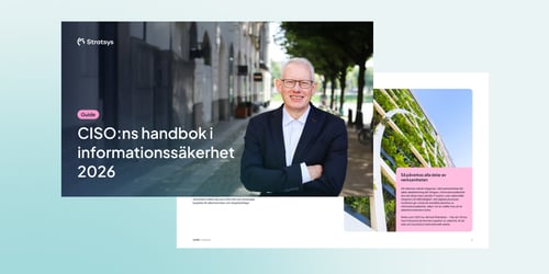 CISOns-handbok-guide-26-thumbnail