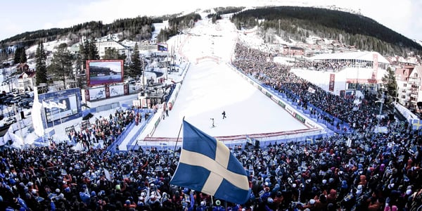 Svenska skidförbundet väljer Stratsys