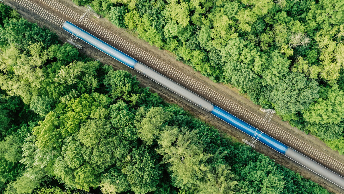 train-on-train-tracks-through-forest